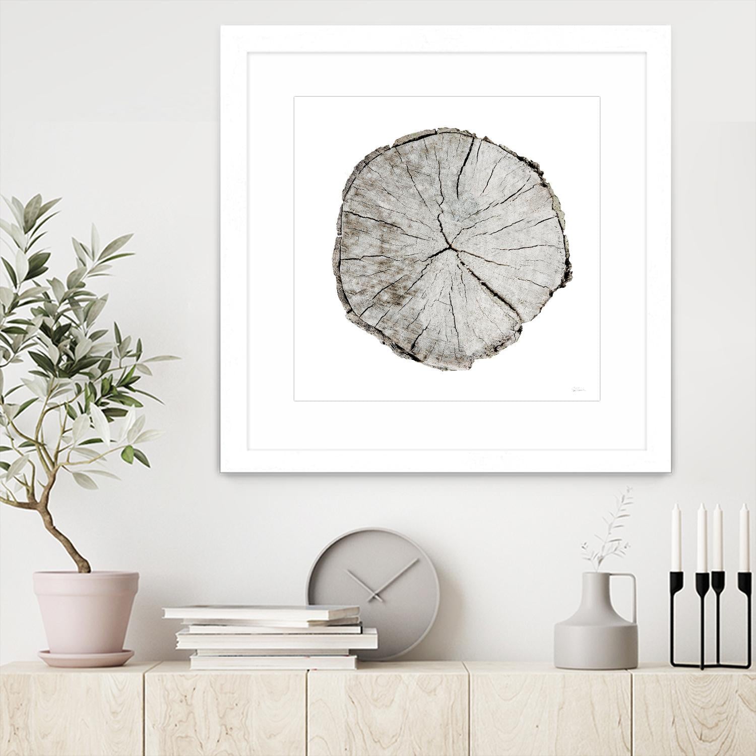 Woodland Years I on White by Sue Schlabach on GIANT ART - grey trees