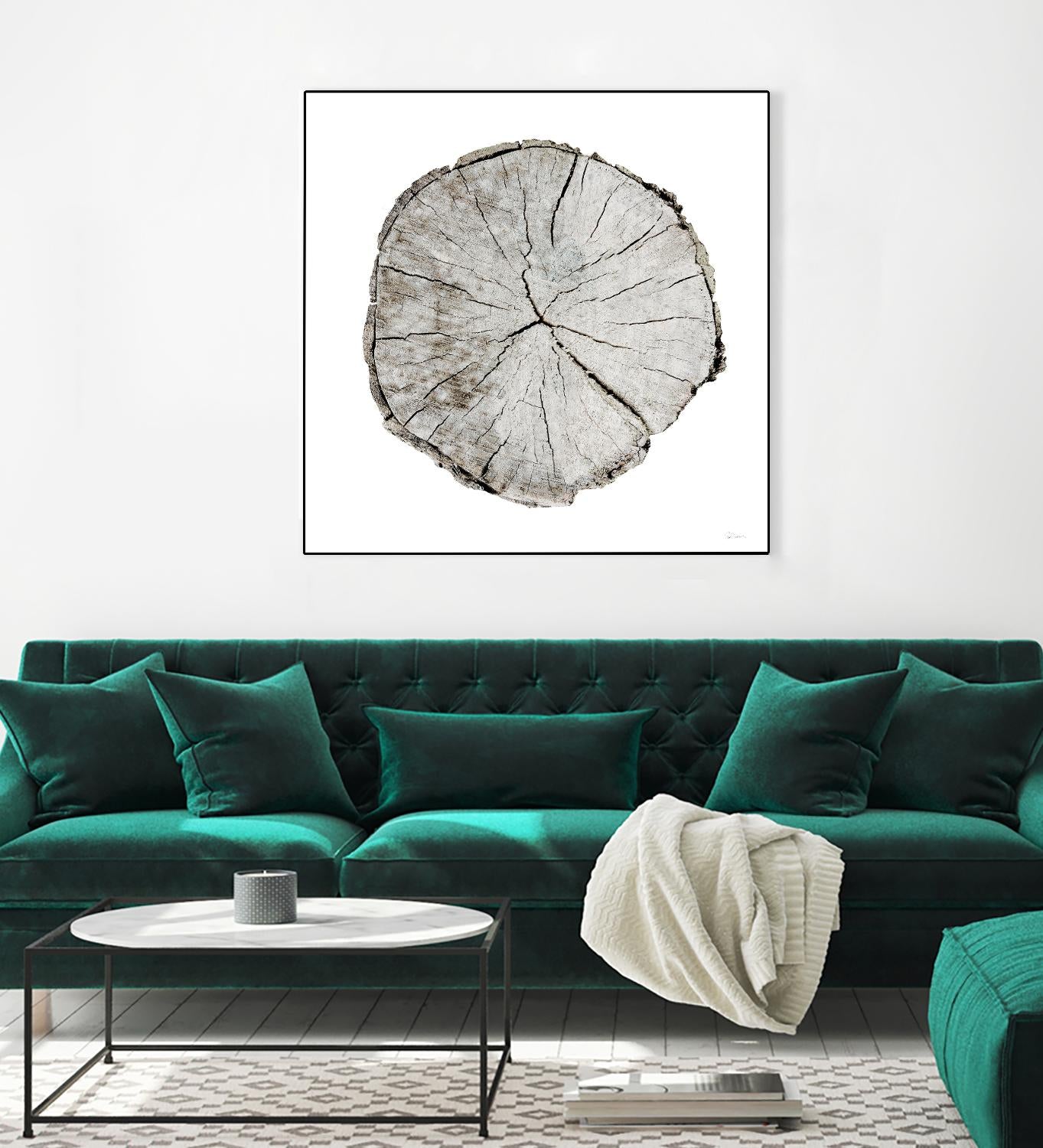 Woodland Years I on White by Sue Schlabach on GIANT ART - grey trees