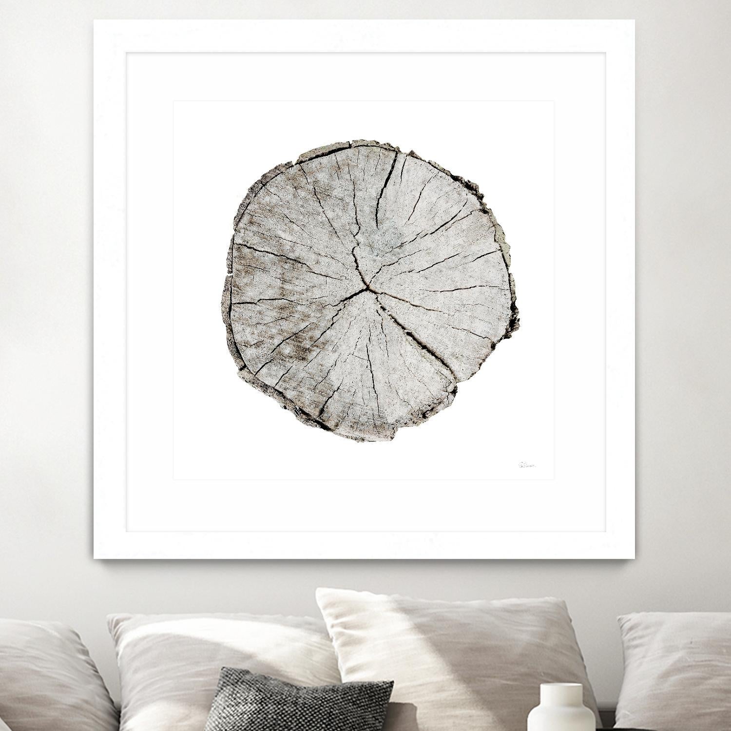 Woodland Years I on White by Sue Schlabach on GIANT ART - grey trees