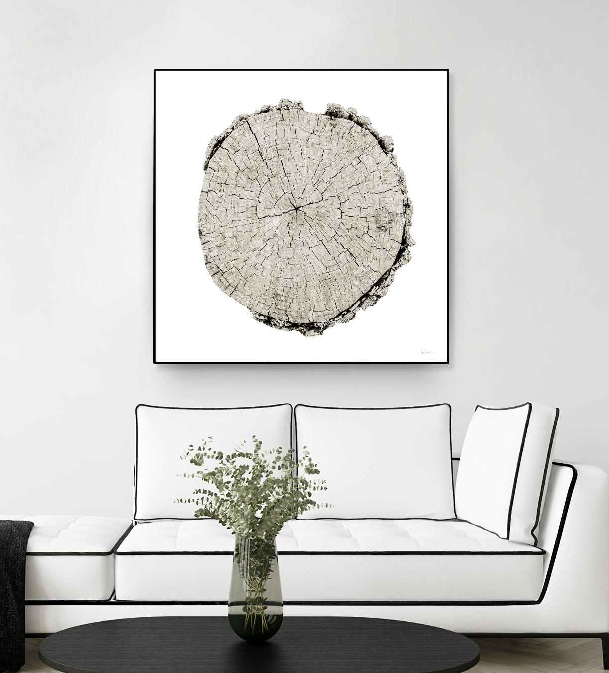 Woodland Years II on White by Sue Schlabach on GIANT ART - grey trees