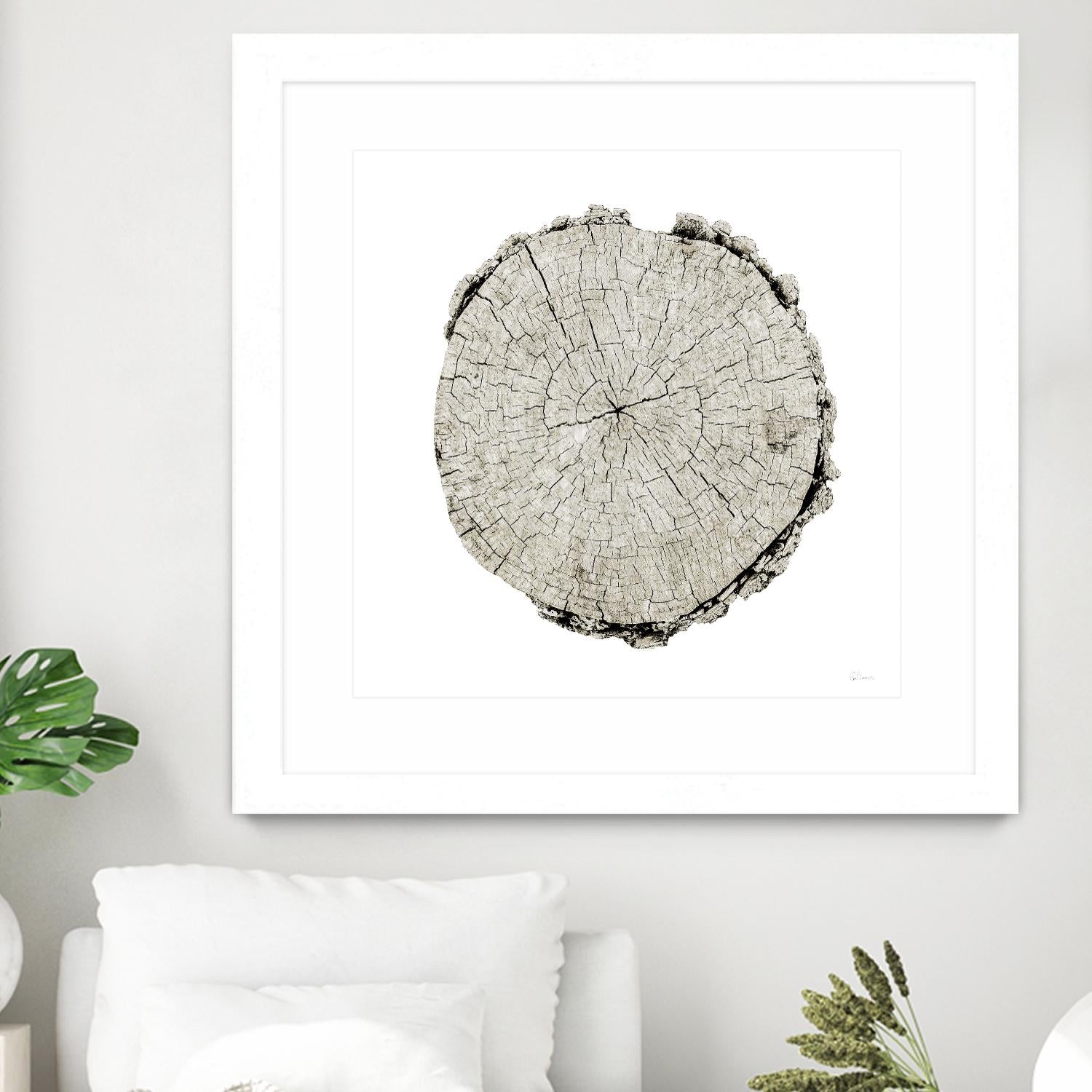 Woodland Years II on White by Sue Schlabach on GIANT ART - grey trees