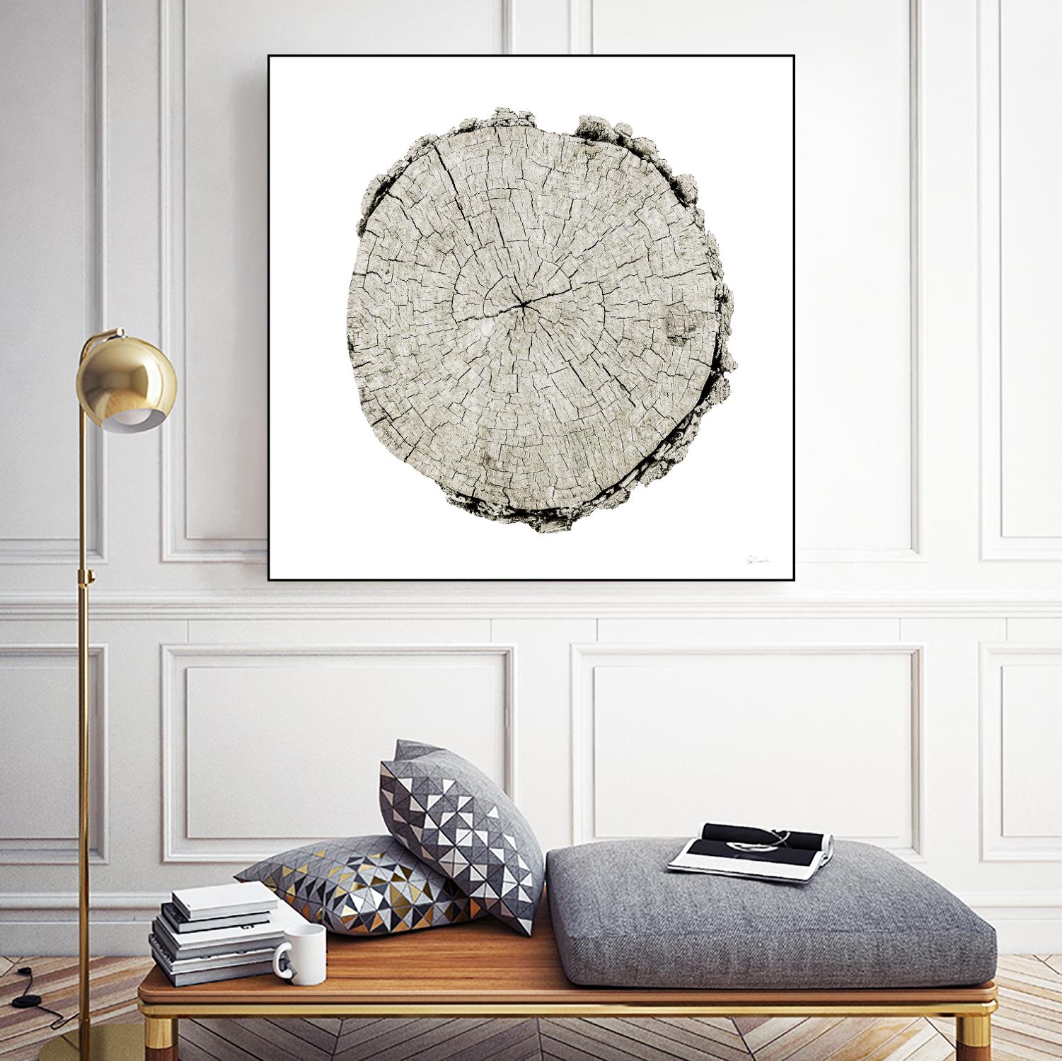 Woodland Years II on White by Sue Schlabach on GIANT ART - grey trees