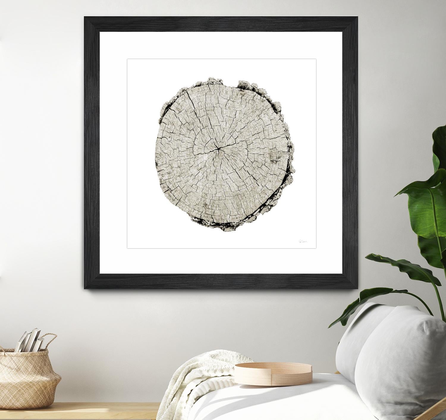 Woodland Years II on White by Sue Schlabach on GIANT ART - grey trees