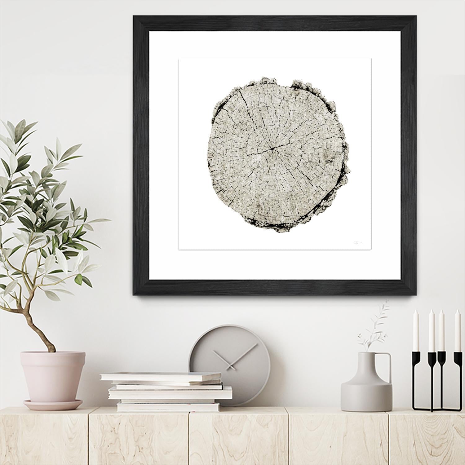 Woodland Years II on White by Sue Schlabach on GIANT ART - grey trees