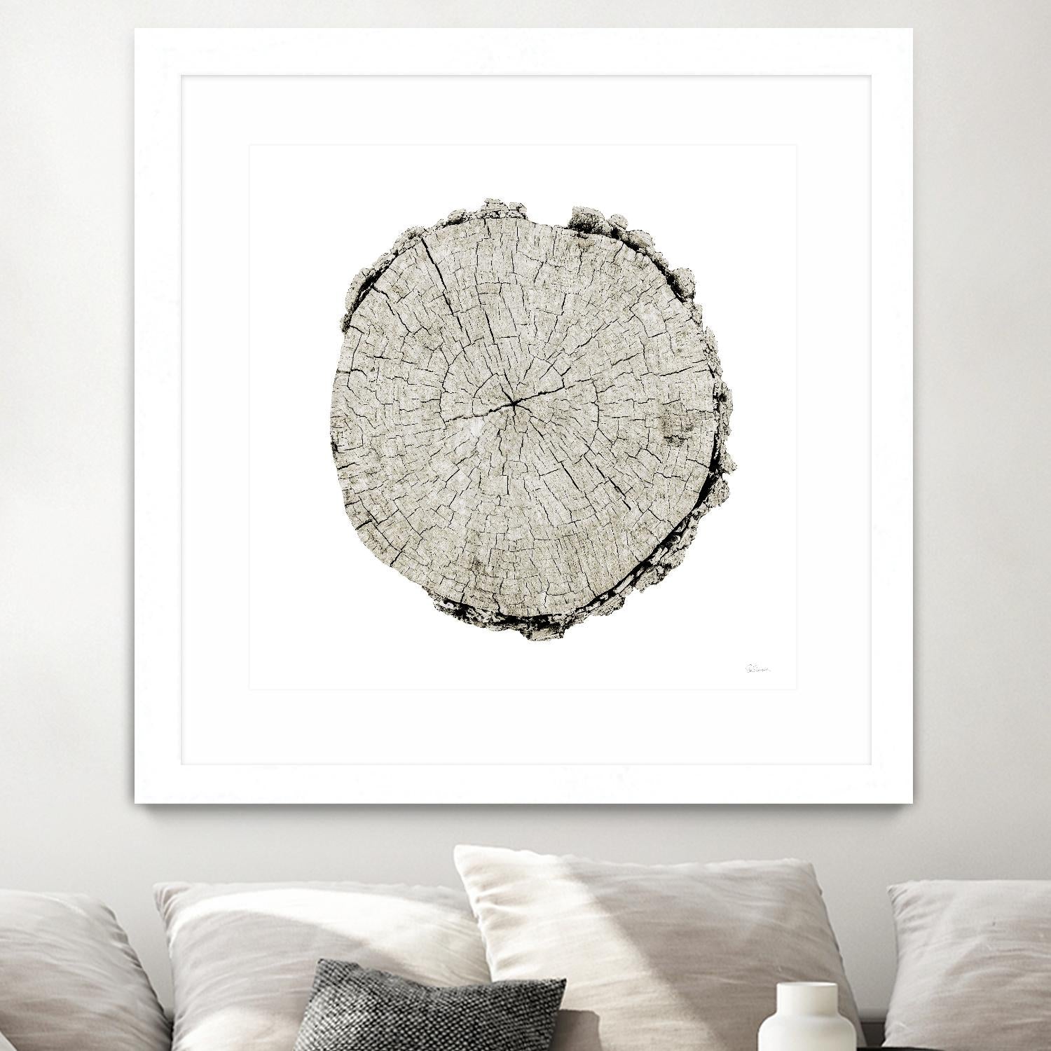Woodland Years II on White by Sue Schlabach on GIANT ART - grey trees