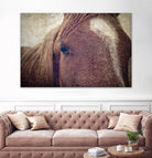 Dew Lashes by Debra Van Swearingen on GIANT ART - animals animals