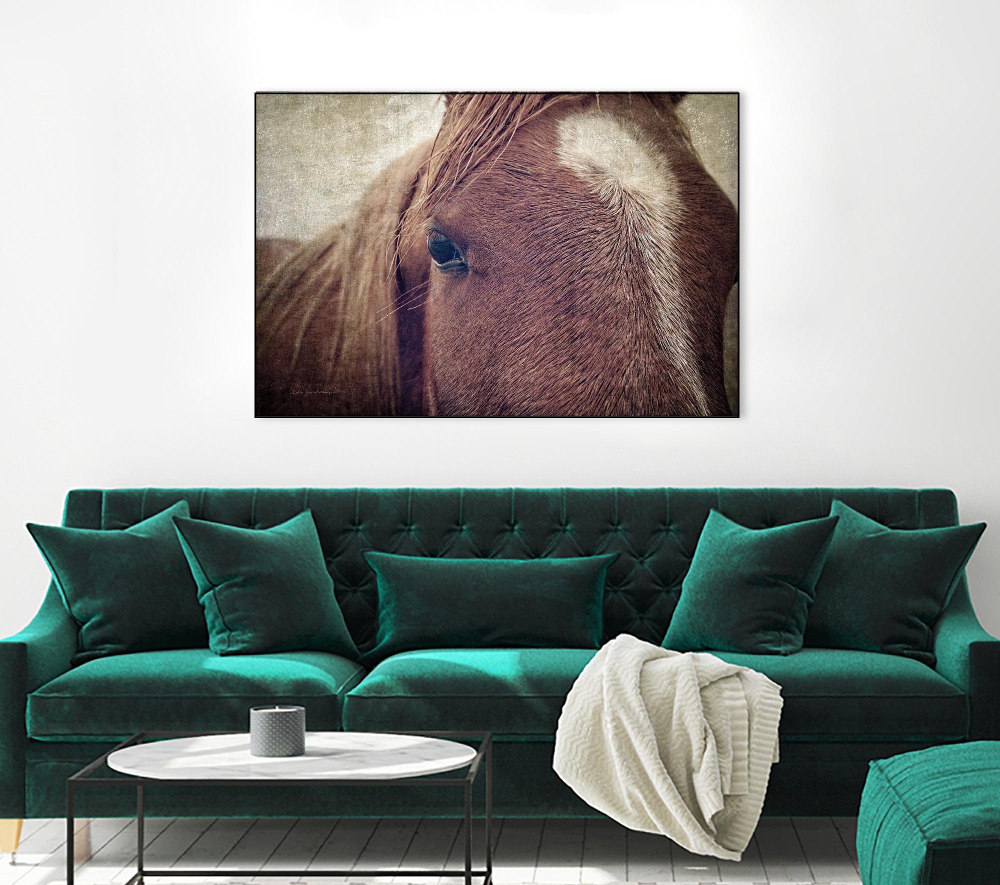 Dew Lashes by Debra Van Swearingen on GIANT ART - animals animals