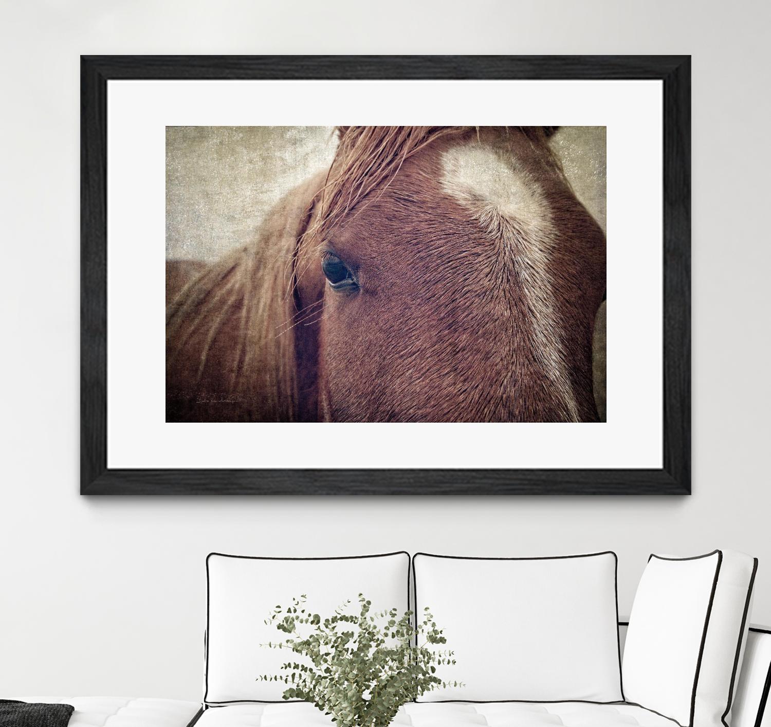 Dew Lashes by Debra Van Swearingen on GIANT ART - animals animals