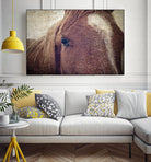 Dew Lashes by Debra Van Swearingen on GIANT ART - animals animals