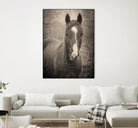 Heres Looking at You II by Debra Van on GIANT ART - animals animals