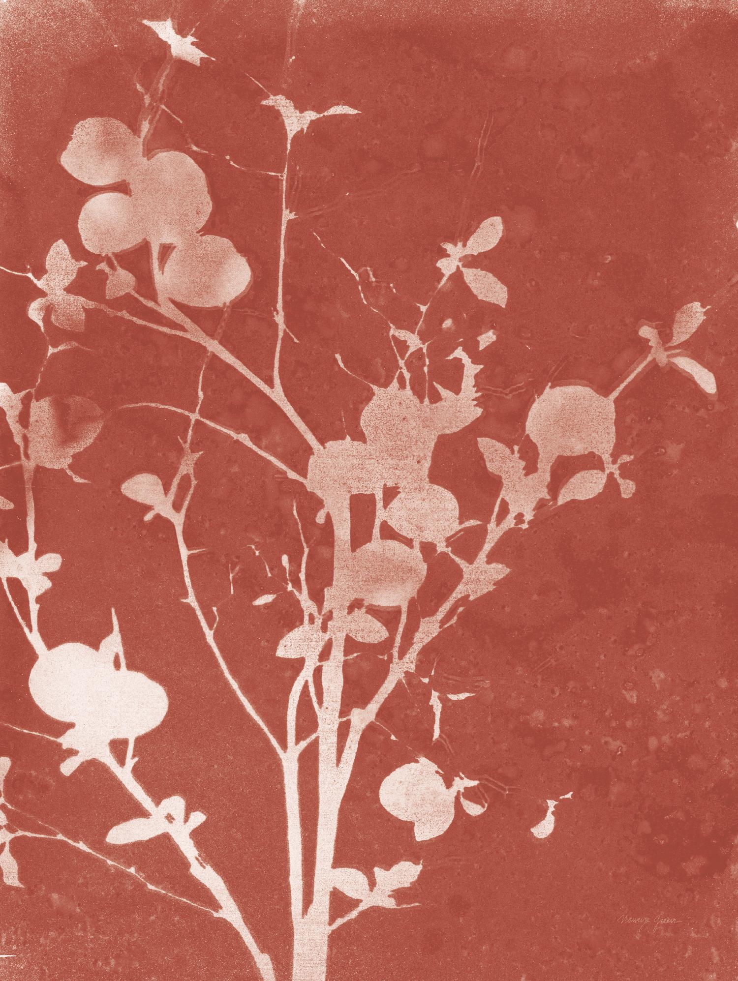 Enchanted Fall Cyanotype VI by Nancy Green on GIANT ART - botanical botanical