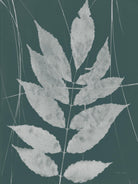 Enchanted Fall Cyanotype IX by Nancy Green on GIANT ART - botanical botanical