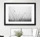 Autumn Grasses by Aledanda on GIANT ART - black & white flowers stems