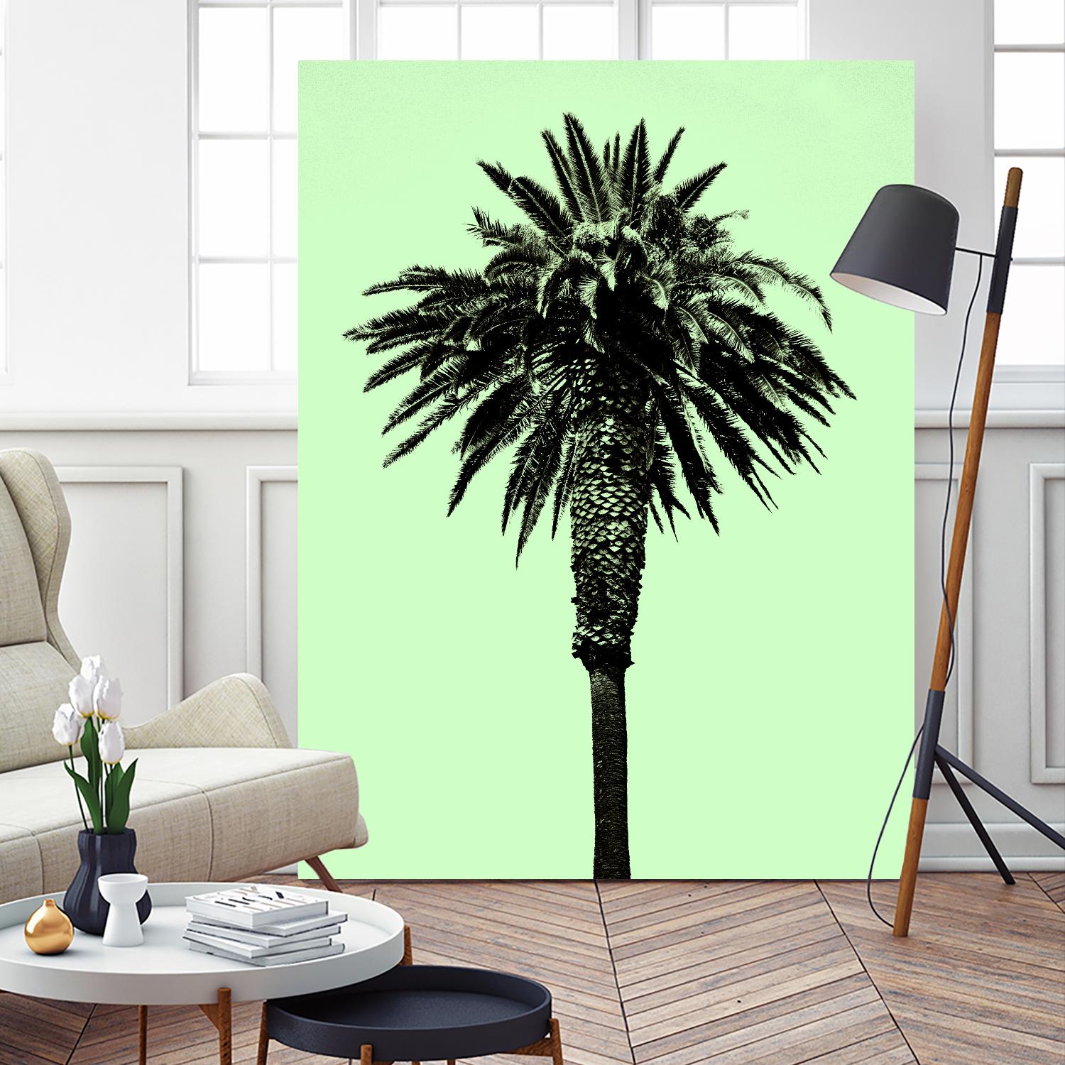 Palm Tree 1996 (Green) by Erik Asla on GIANT ART - multicolor photography; contemporary