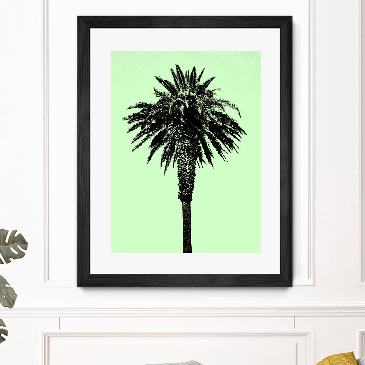 Palm Tree 1996 (Green) by Erik Asla on GIANT ART - multicolor photography; contemporary