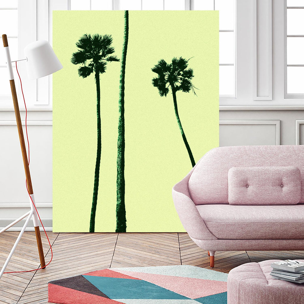 Palm Trees 2000 (Cyan) by Erik Asla on GIANT ART - multicolor photography; contemporary