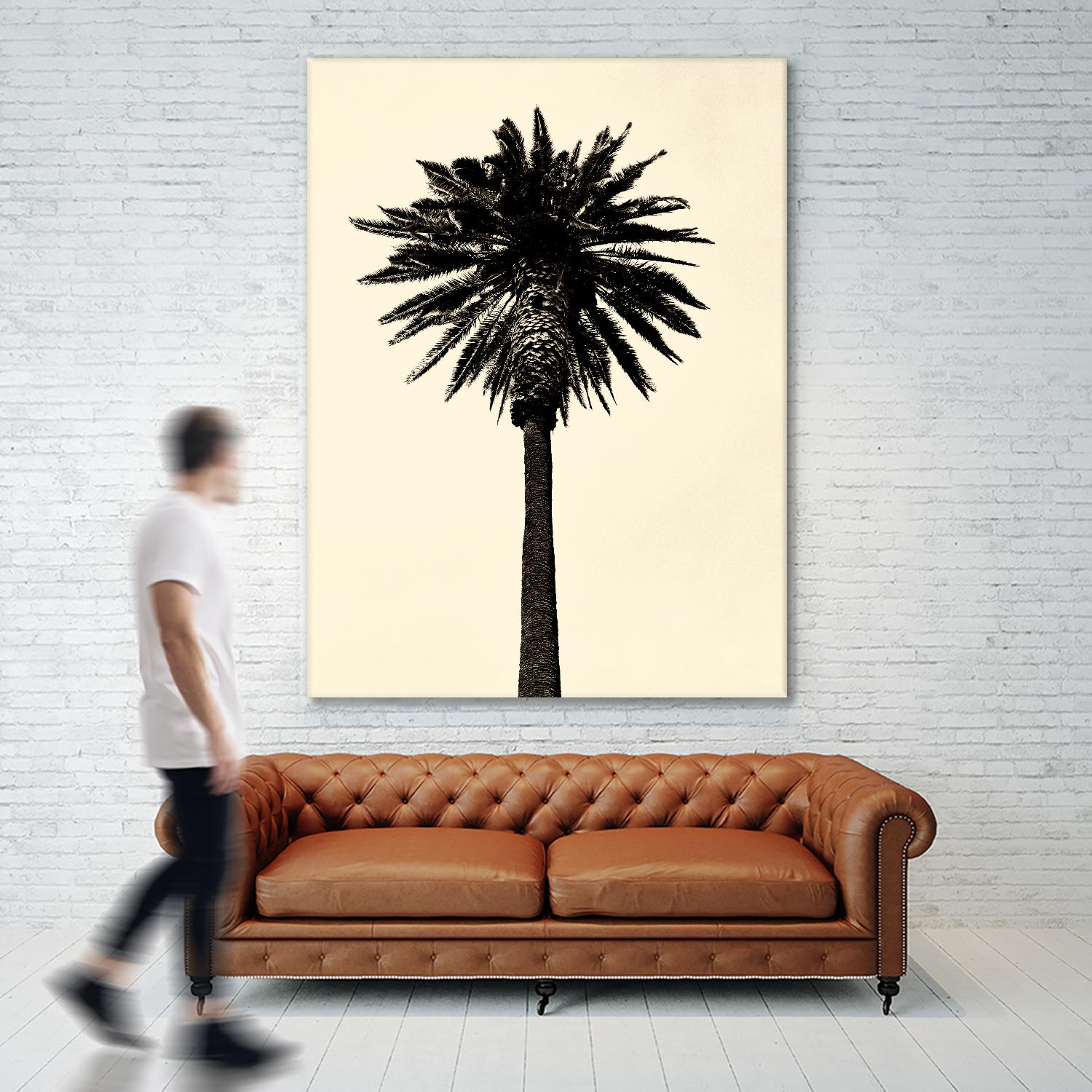 Palm Tree 1979 Tan by Erik Asla on GIANT ART - multicolor photography; contemporary