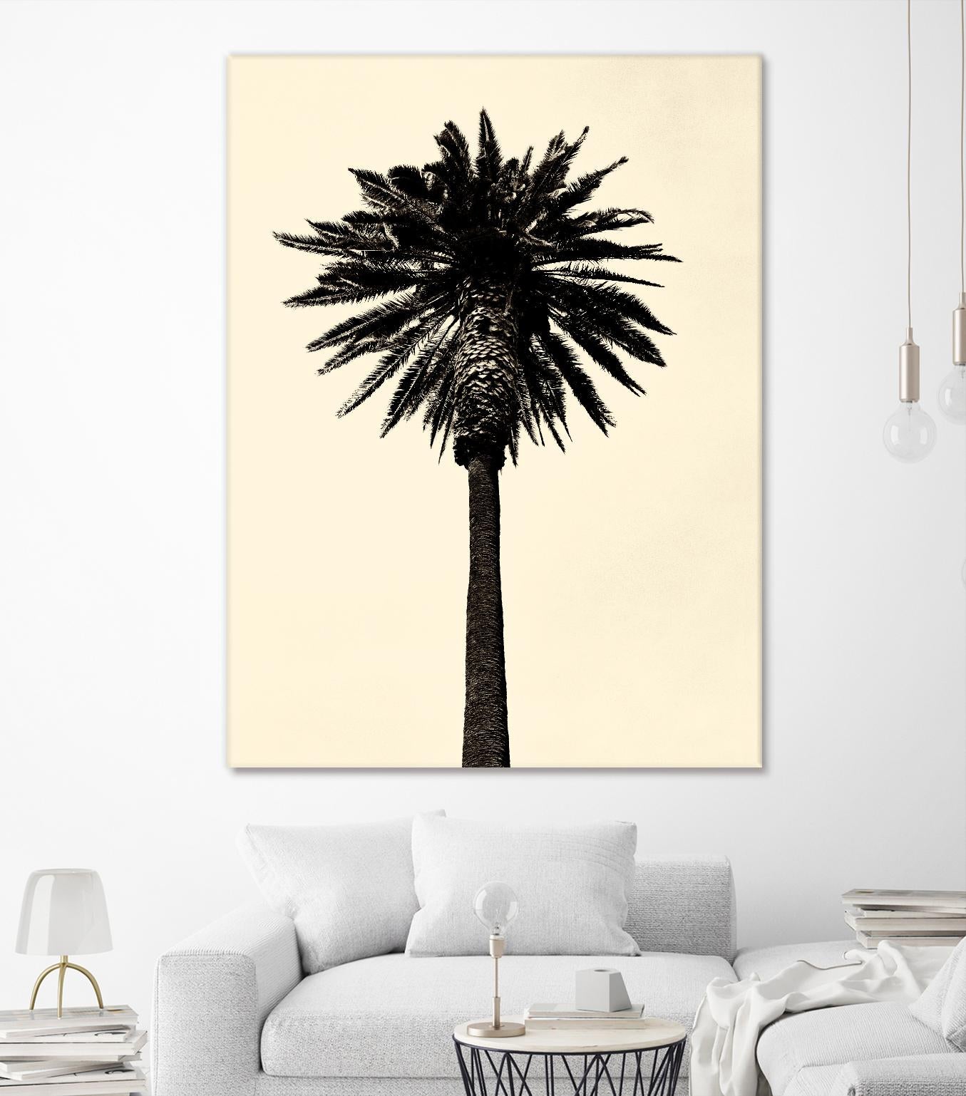 Palm Tree 1979 Tan by Erik Asla on GIANT ART - multicolor photography; contemporary