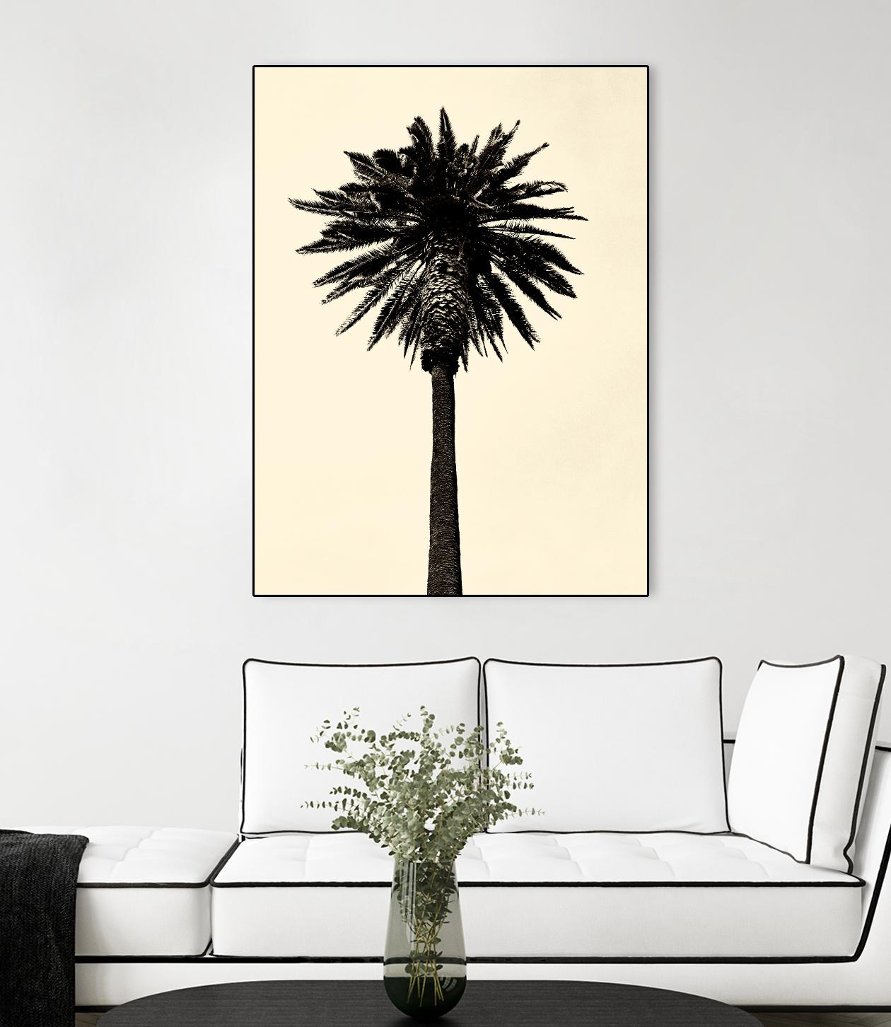 Palm Tree 1979 Tan by Erik Asla on GIANT ART - multicolor photography; contemporary