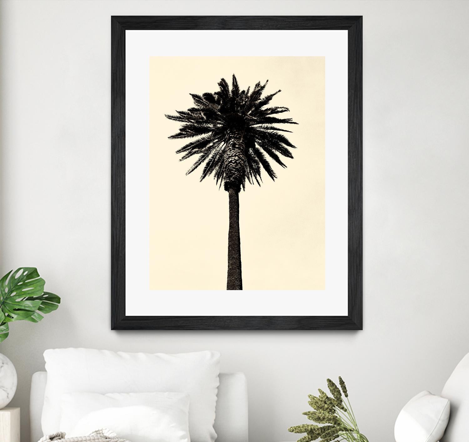 Palm Tree 1979 Tan by Erik Asla on GIANT ART - multicolor photography; contemporary