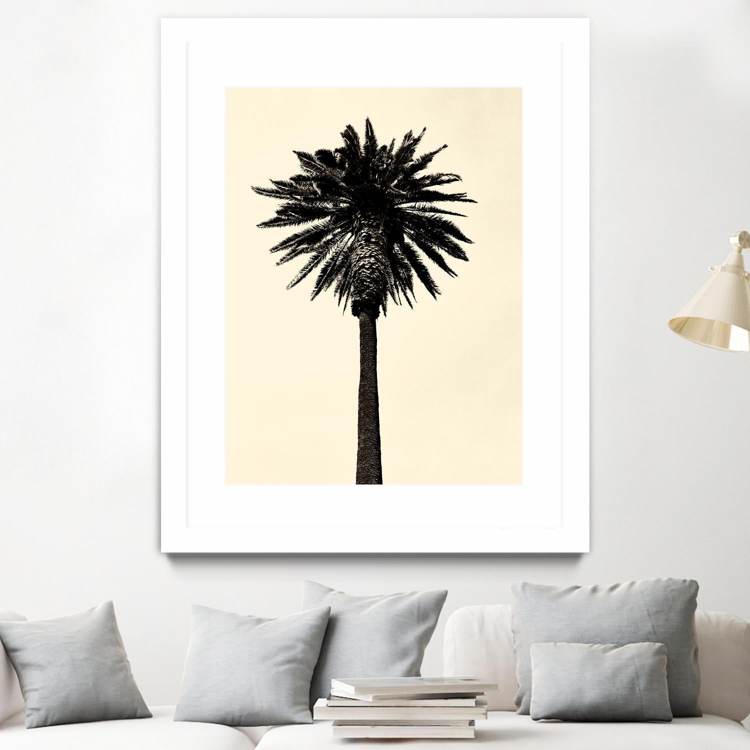Palm Tree 1979 Tan by Erik Asla on GIANT ART - multicolor photography; contemporary