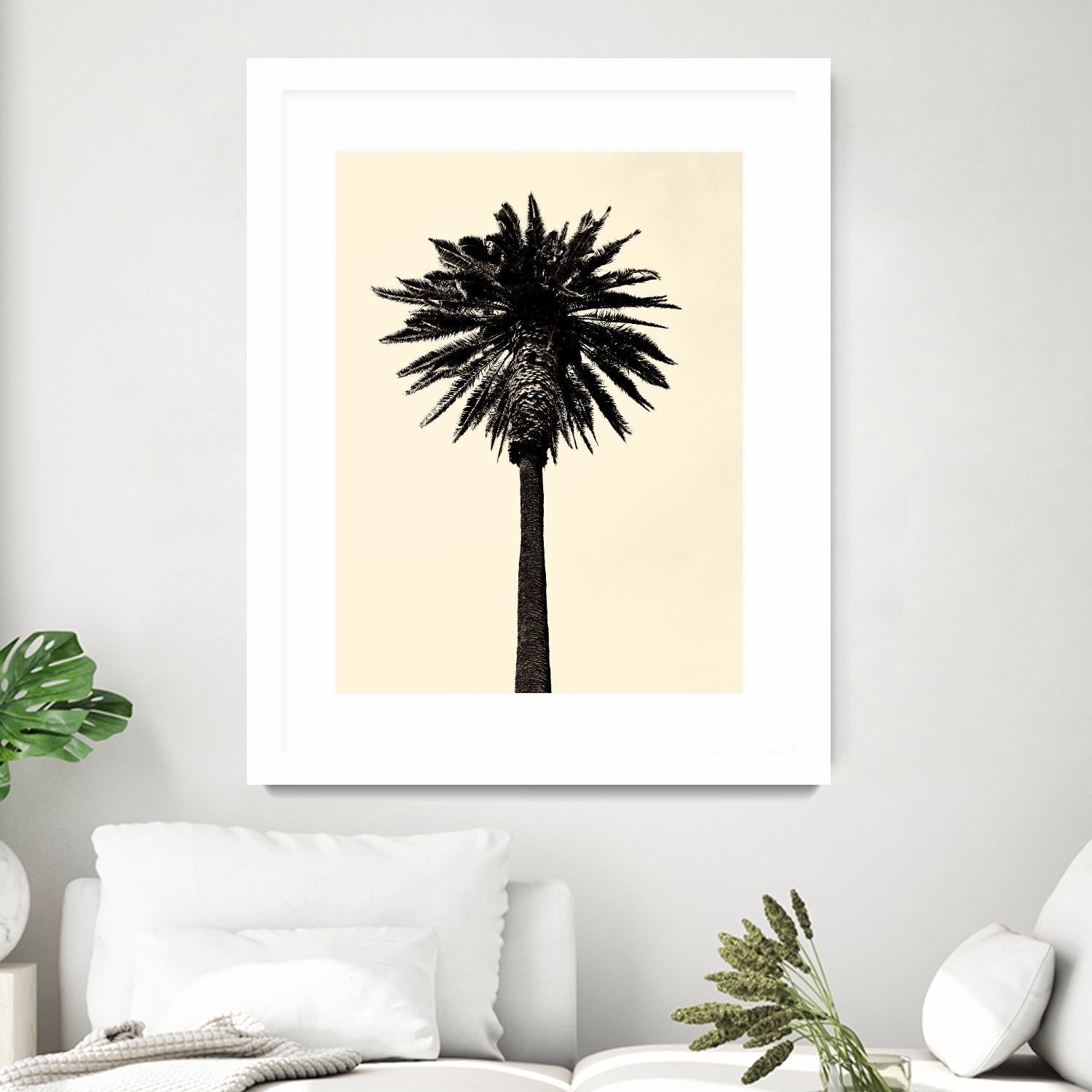 Palm Tree 1979 Tan by Erik Asla on GIANT ART - multicolor photography; contemporary