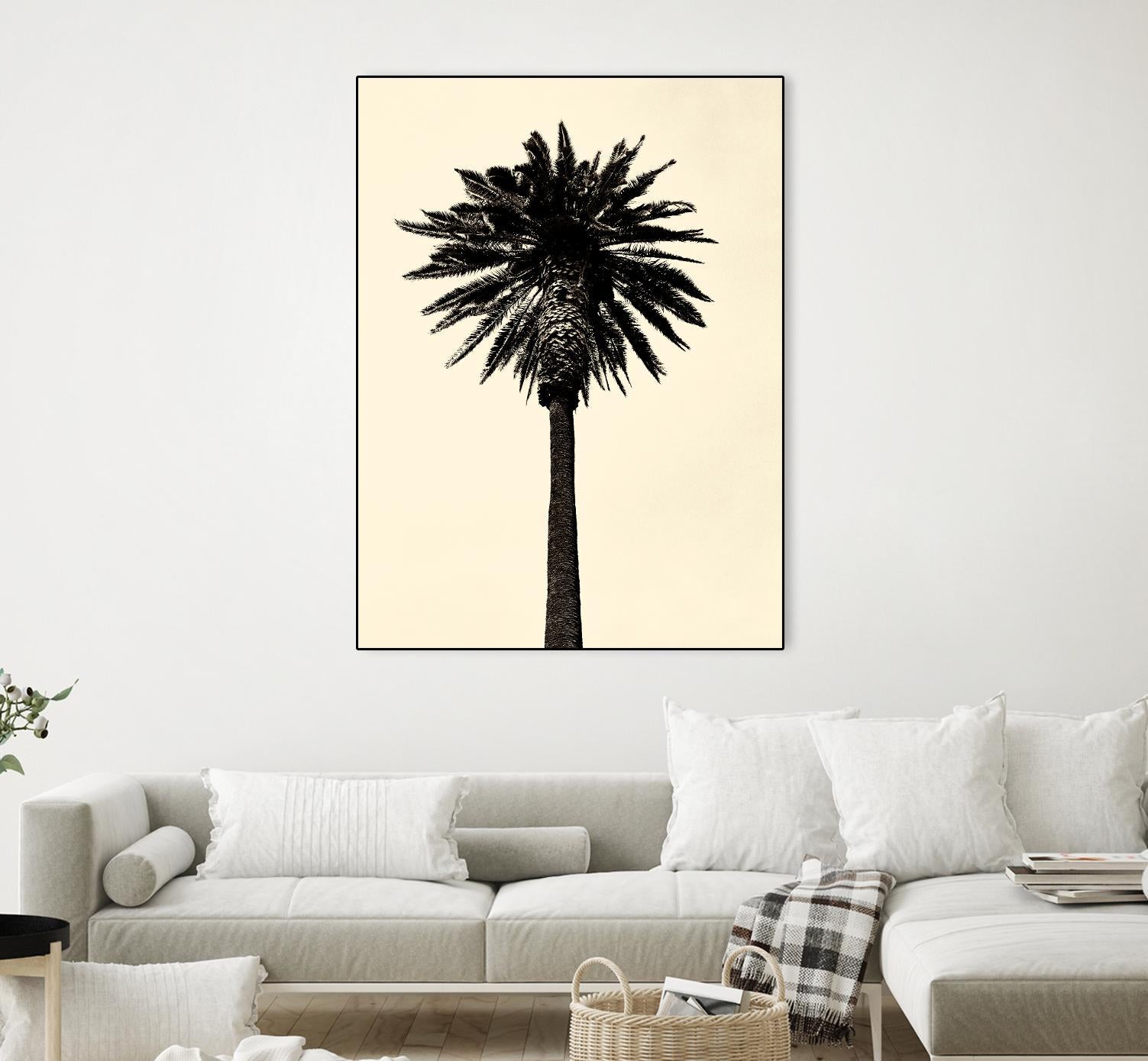 Palm Tree 1979 Tan by Erik Asla on GIANT ART - multicolor photography; contemporary
