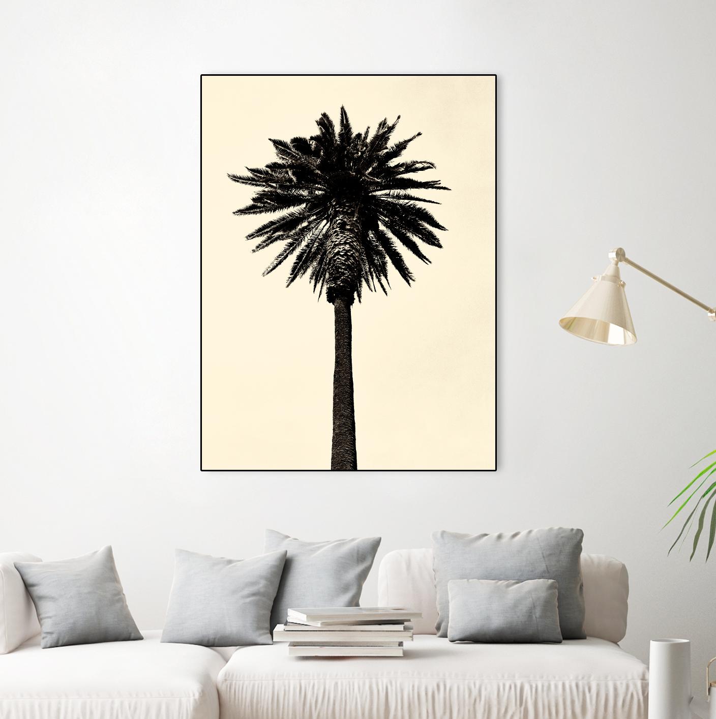 Palm Tree 1979 Tan by Erik Asla on GIANT ART - multicolor photography; contemporary