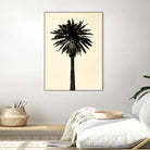 Palm Tree 1979 Tan by Erik Asla on GIANT ART - multicolor photography; contemporary