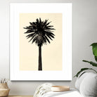 Palm Tree 1979 Tan by Erik Asla on GIANT ART - multicolor photography; contemporary