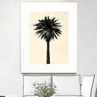 Palm Tree 1979 Tan by Erik Asla on GIANT ART - multicolor photography; contemporary
