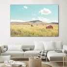 A Day in the Fields by Annie Bailey Art on GIANT ART - blue,green landscapes, photography, clouds, farms, hills