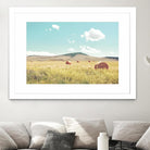 A Day in the Fields by Annie Bailey Art on GIANT ART - blue,green landscapes, photography, clouds, farms, hills