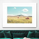 A Day in the Fields by Annie Bailey Art on GIANT ART - blue,green landscapes, photography, clouds, farms, hills