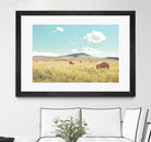 A Day in the Fields by Annie Bailey Art on GIANT ART - blue,green landscapes, photography, clouds, farms, hills