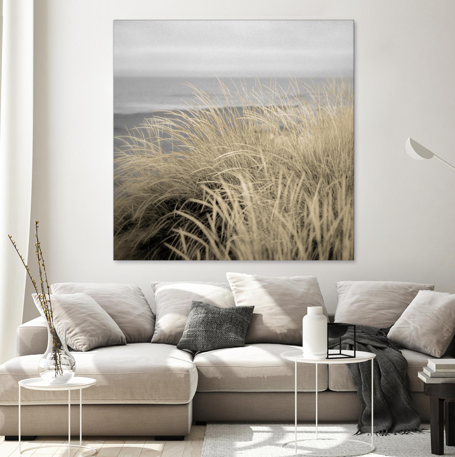 Tuscan Dunes #2A by Alan Blaustein on GIANT ART - multicolor photography; landscapes; coastal