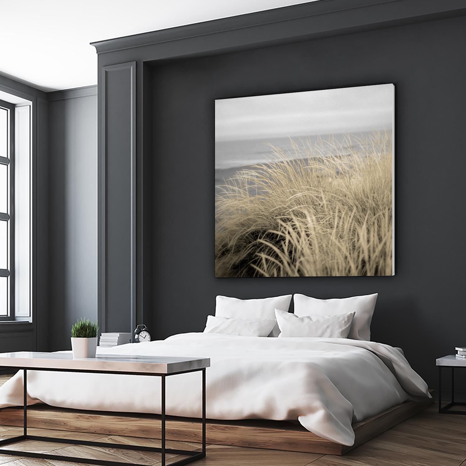 Tuscan Dunes #2A by Alan Blaustein on GIANT ART - multicolor photography; landscapes; coastal