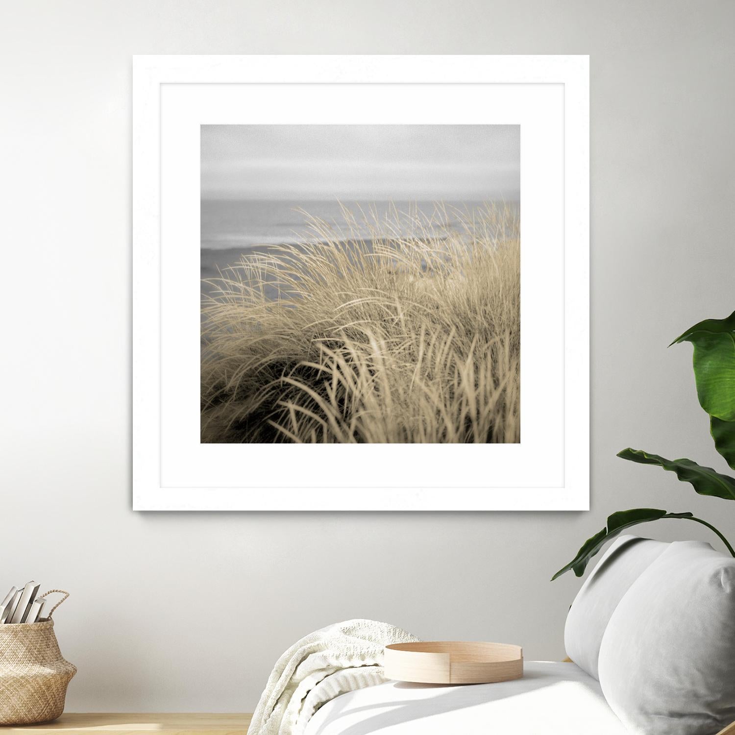 Tuscan Dunes #2A by Alan Blaustein on GIANT ART - multicolor photography; landscapes; coastal