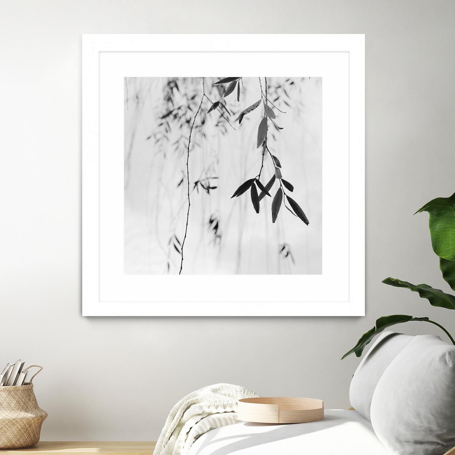 Willow Print No. 3 by Nicholas Bell on GIANT ART - multicolor photography