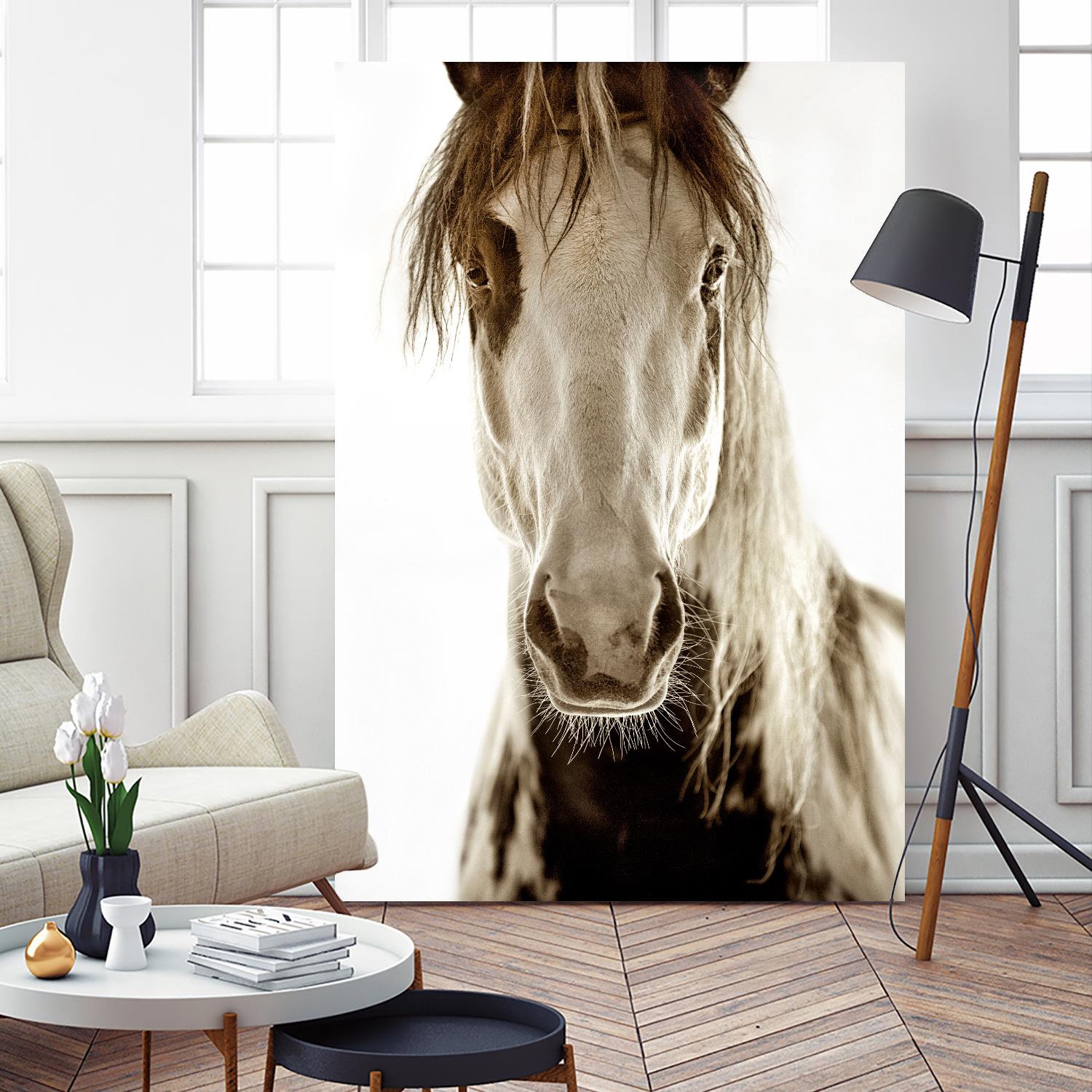 Wilbur Cruz by Lisa Dearing on GIANT ART - multicolor photography; animals