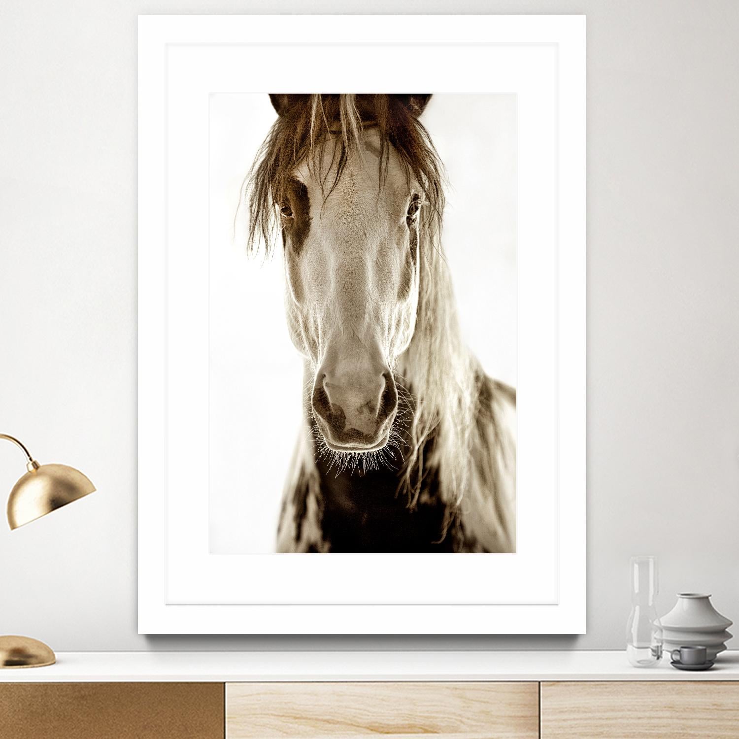 Wilbur Cruz by Lisa Dearing on GIANT ART - multicolor photography; animals