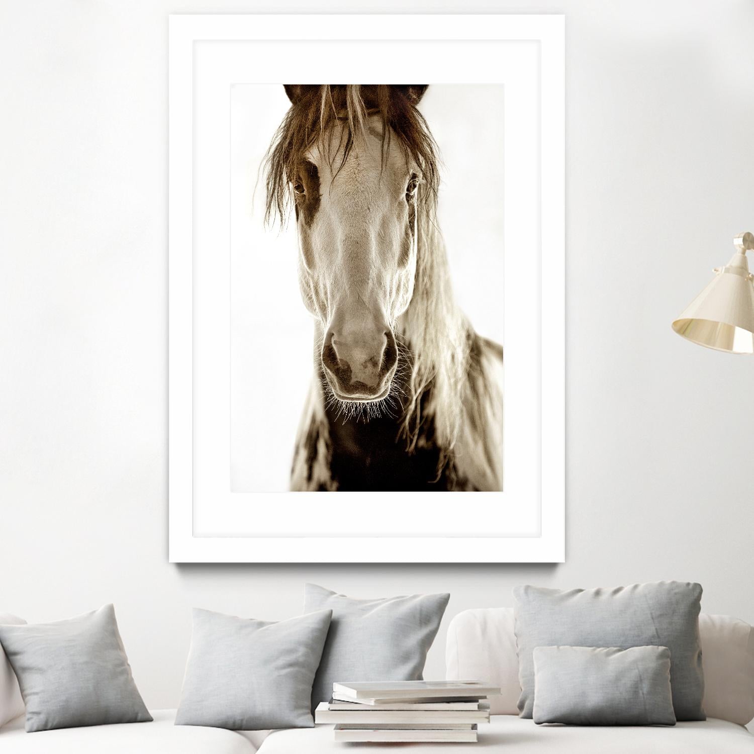 Wilbur Cruz by Lisa Dearing on GIANT ART - multicolor photography; animals