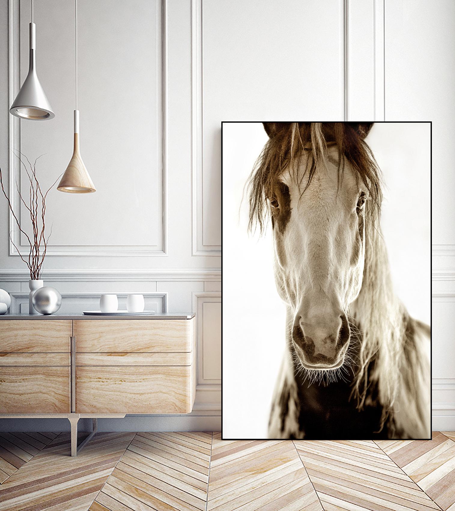 Wilbur Cruz by Lisa Dearing on GIANT ART - multicolor photography; animals