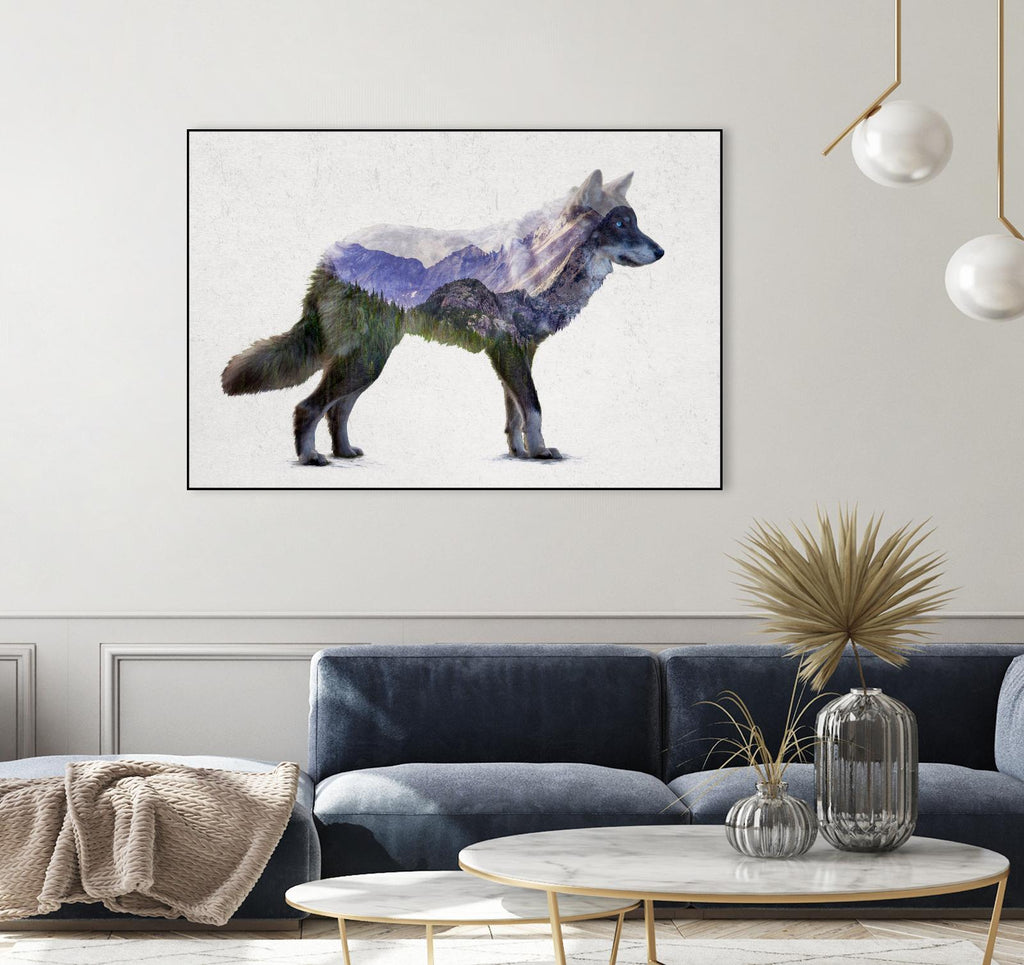 Rocky Mountain Grey Wolf by Davies Babies on GIANT ART - white animals