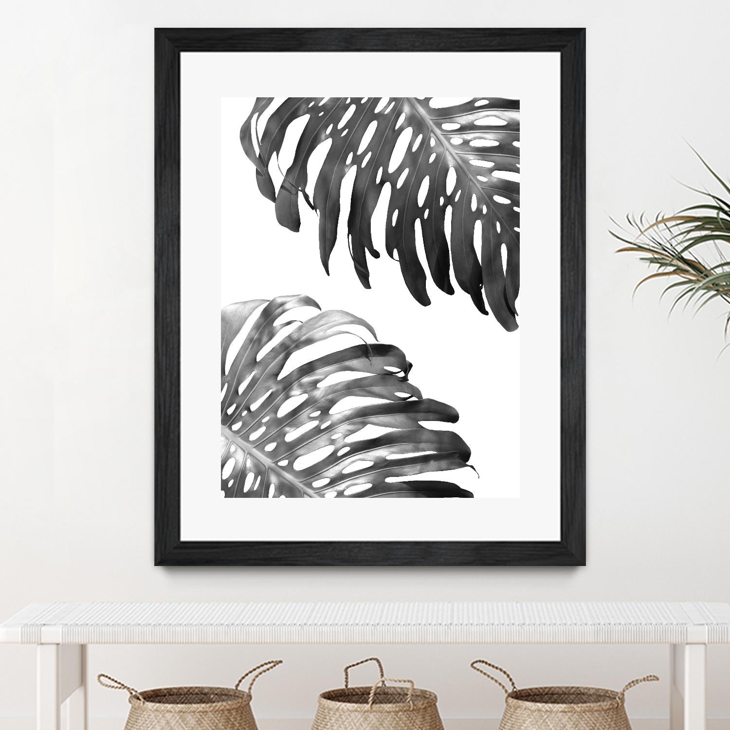 Double Philodendron (BW) by Lexie Greer on GIANT ART - multicolor photography; floral/still life