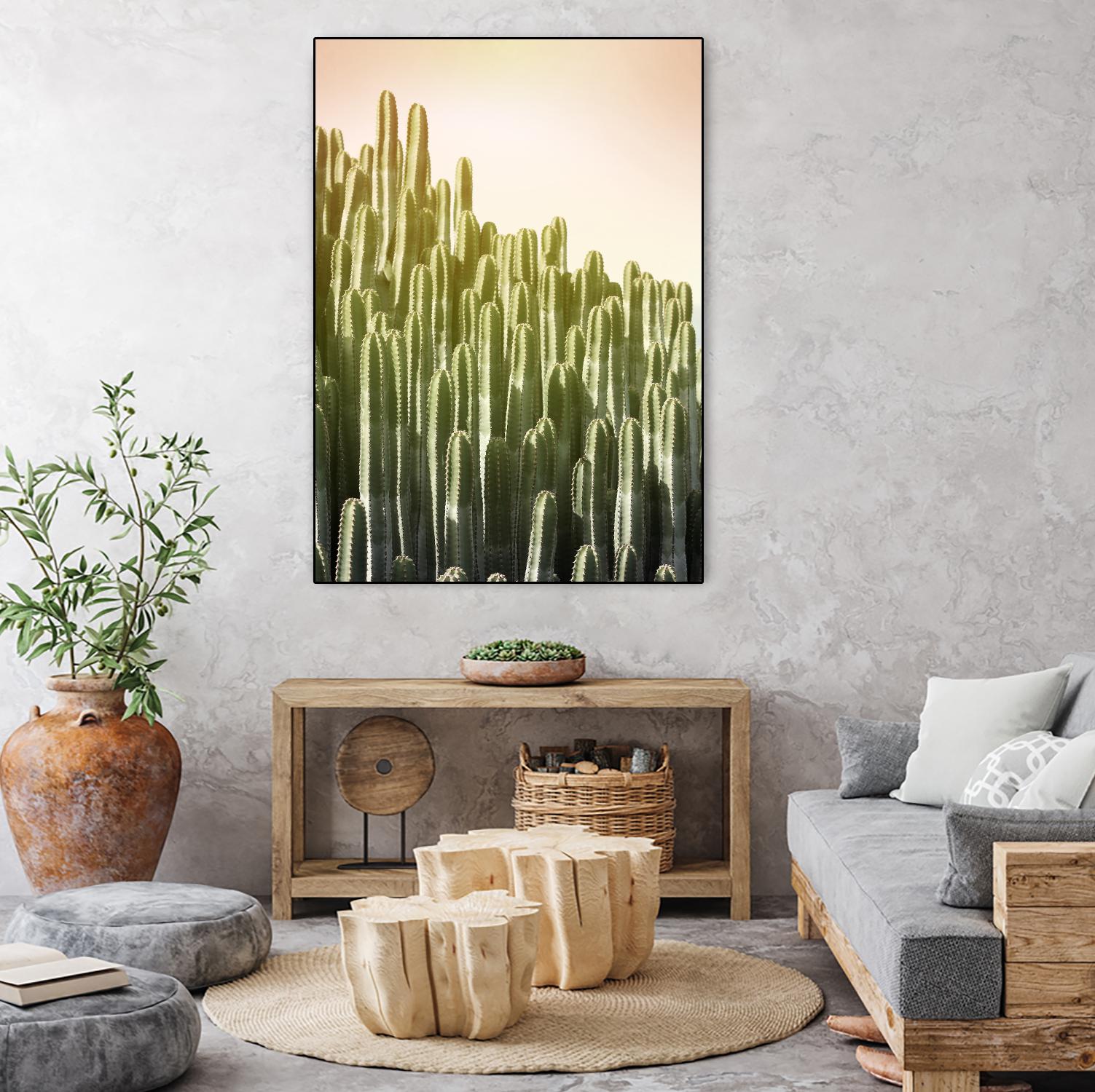 Pink Sky Cactus by Lexie Greer on GIANT ART - multicolor photography; floral/still life