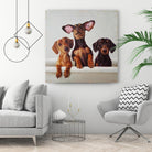 3 Amigos by Lucia Heffernan on GIANT ART - multicolor urban/pop surrealism; animals