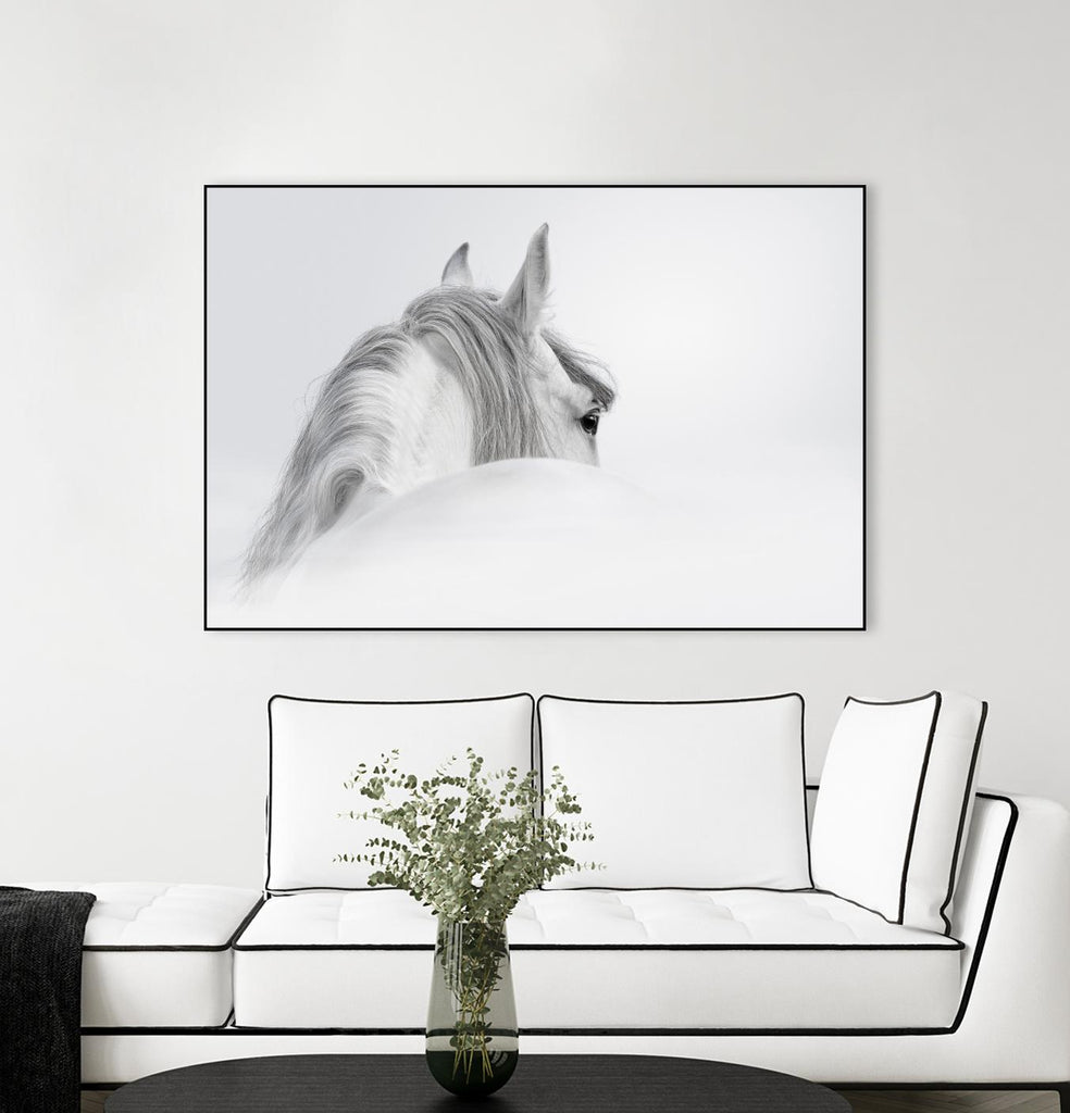 White Horse by PhotoINC Studio on GIANT ART - multicolor animals