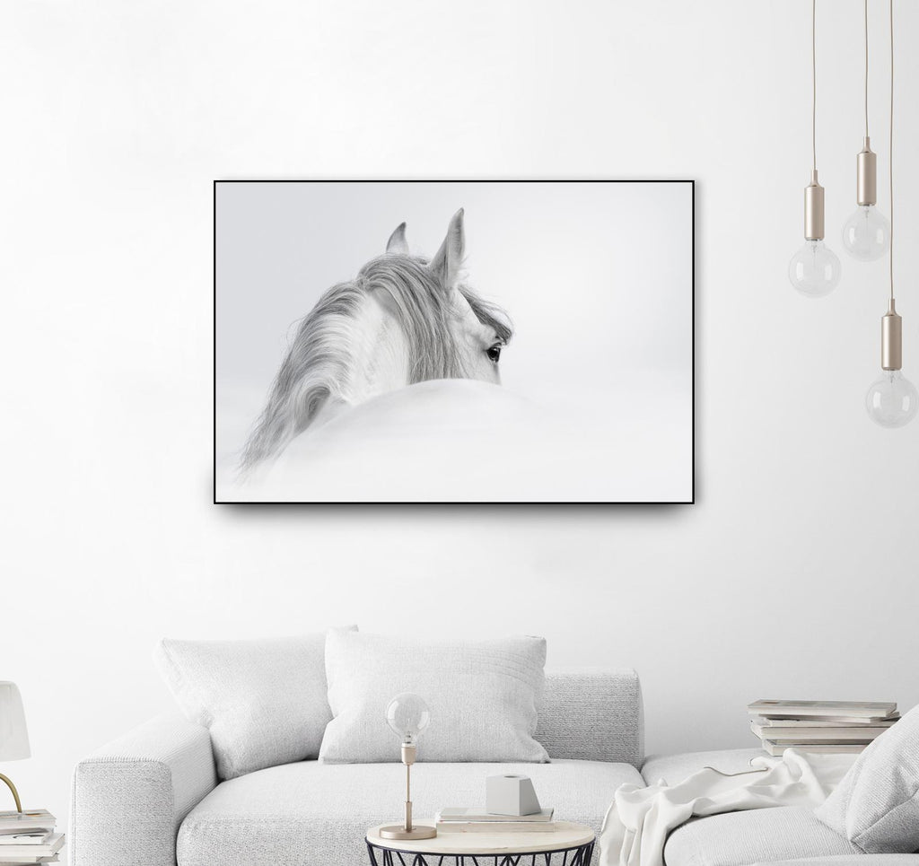 White Horse by PhotoINC Studio on GIANT ART - multicolor animals