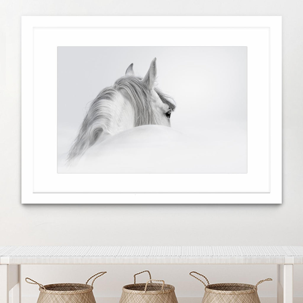 White Horse by PhotoINC Studio on GIANT ART - multicolor animals